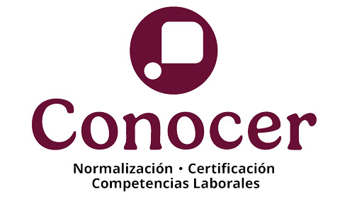 Técnicos experimentados