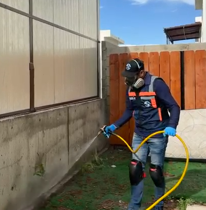 Control de plagas residencial